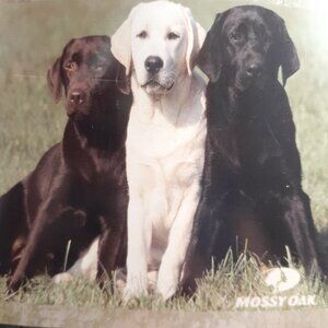 Mossy Oak  Soft Plush Throw Blanket 50x60 Dogs